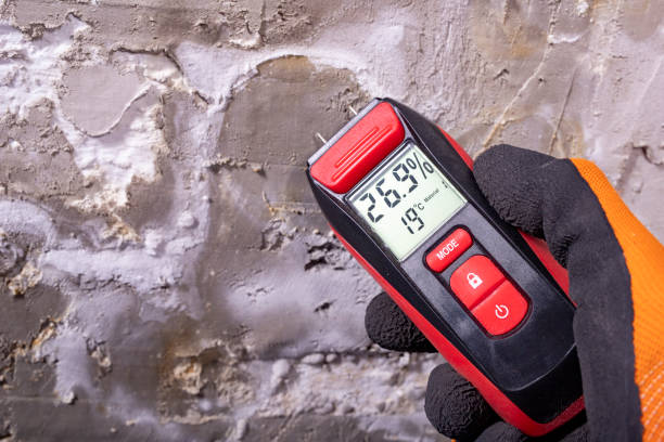 Best Residential Mold Remediation in Mcarthur, OH