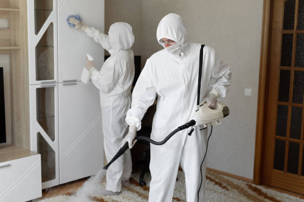 Best DIY Mold Remediation Support Services in Mcarthur, OH