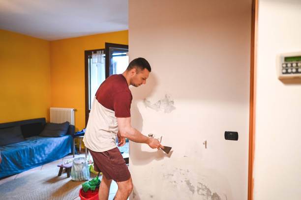 Best Basement Mold Remediation in Mcarthur, OH